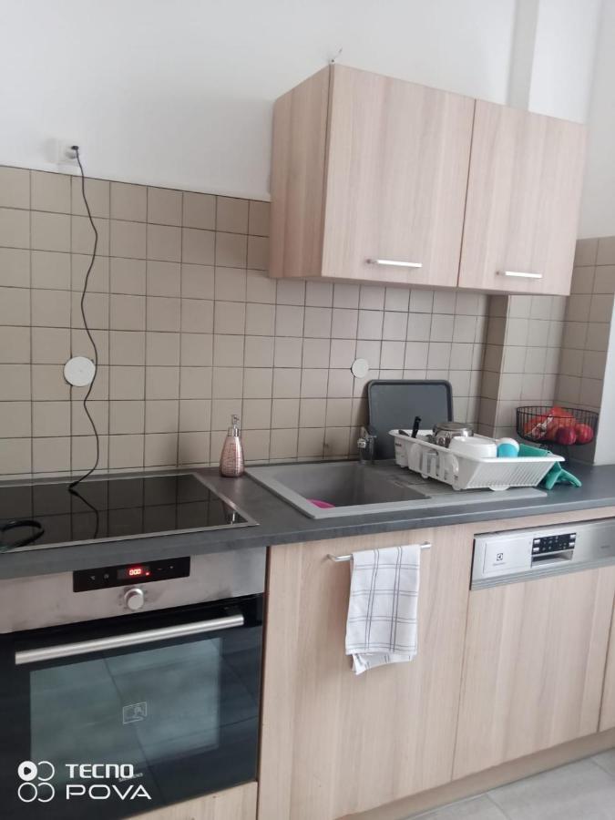 Grand Appartement Au Coeur De Страсбург Екстер'єр фото